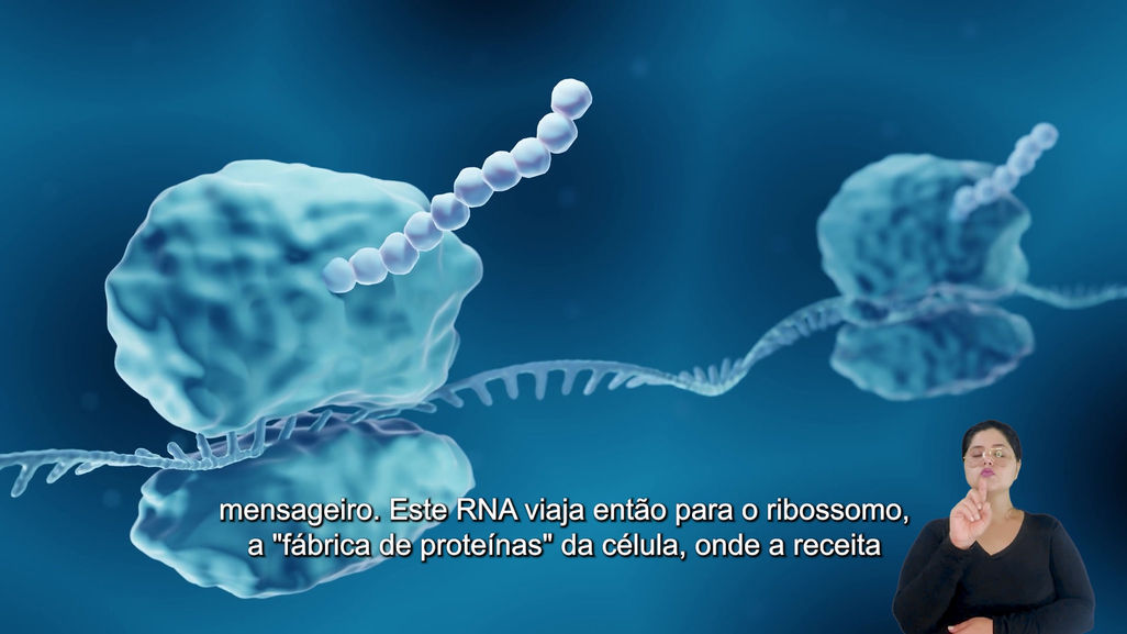 Video 1 - DNA O CÓDIGO DA VIDA.mp4